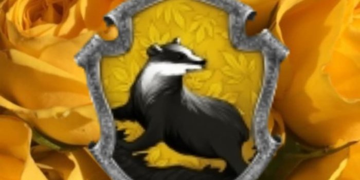 918x1148 hufflepuffwallpaper Instagram Photos and Videos | instforgram.online