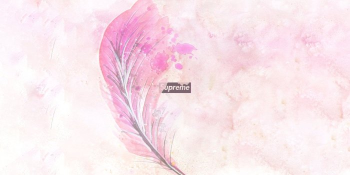 1920x1080 Pink feather clip art, supreme, nature, landscape HD wallpaper