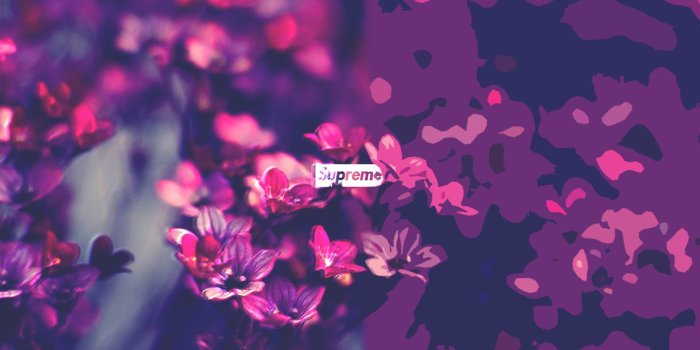 1920x1080 Supreme logo, supreme, nature, landscape HD wallpaper | Wallpaper Flare