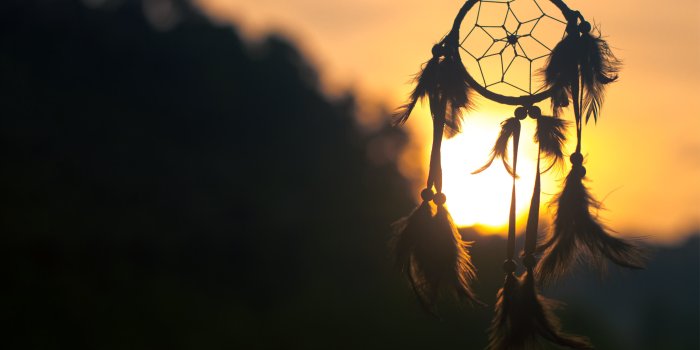 6830x4000 HD wallpaper: Dreamcatcher, Charm, Totem, night, tree, pattern, no