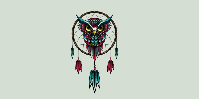 1920x1200 Owl Desktop Wallpaper | owl, bird, dreamcatcher, art >> HD Wallpaper