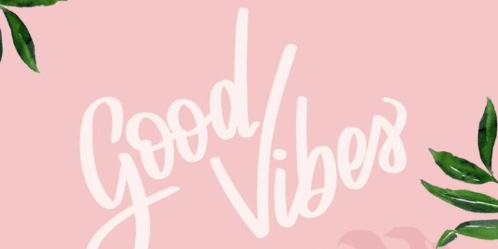 736x1308 Nature Wallpaper: Good vibes only here! – Mobile Wallpapers