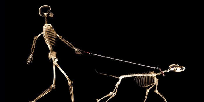 1600x1200 Funny Medical Wallpapers - Top Free Funny Medical Backgrounds