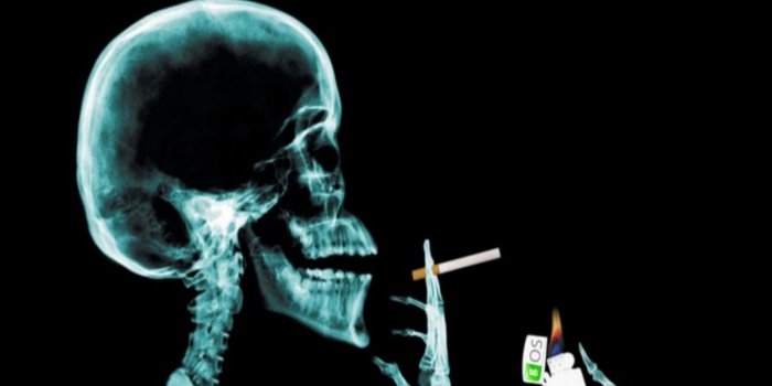 1600x1200 Funny, Background, Photo, New, Desktop, Wallpaper, In, HD, Free