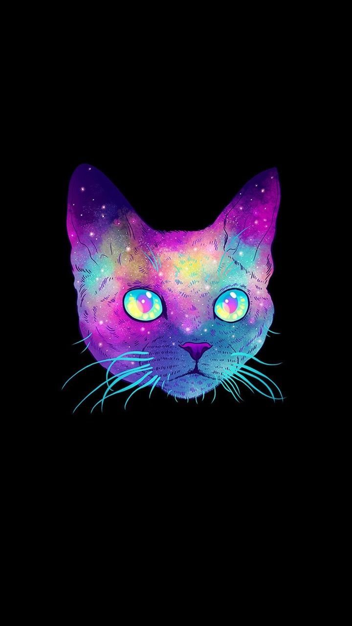 720x1280 Galaxy cat wallpaper - SF Wallpaper
