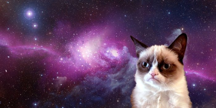 1919x1199 Galaxy Cat Wallpapers