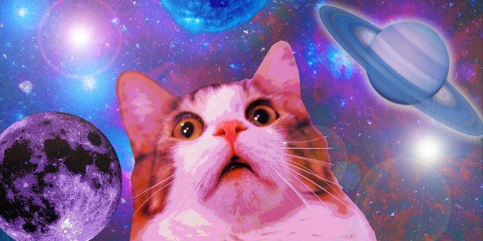 1600x1062 Cats In Space Space cat wallpapers for iphone for desktop wallpaper