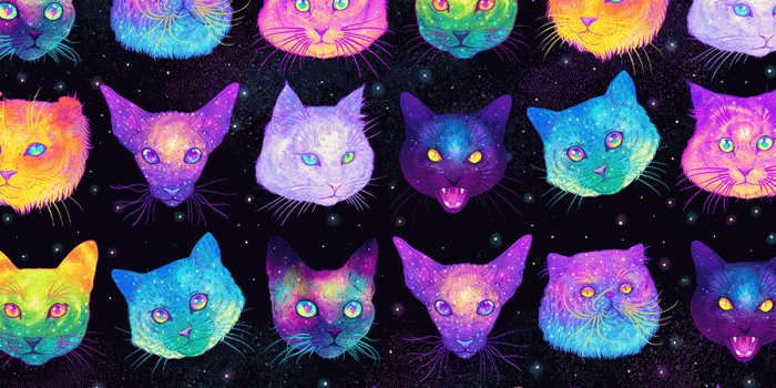 900x900 Jen Bartel Illustration