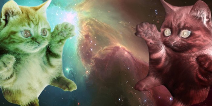 1920x1200 Space Cat Wallpaper WallpaperSafari, Colorful Desktop Backgrounds
