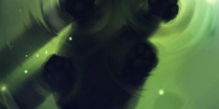 1080x1920 Warrior Cats Backgrounds ·① WallpaperTag