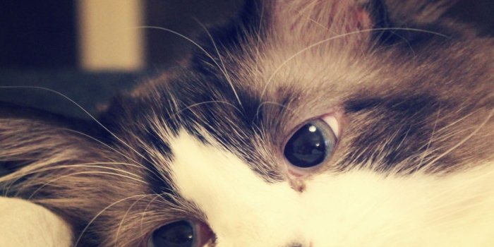 1440x1280 Info: samsung galaxy s3 wallpapers - Page 2