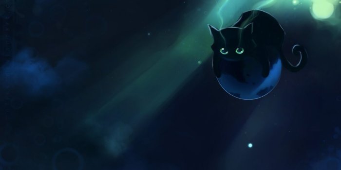 1280x768 Space cat wallpaper - SF Wallpaper