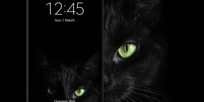 2028x2028 Black Cat wallpaper #wallpaper, #android, #phone, #smartphone