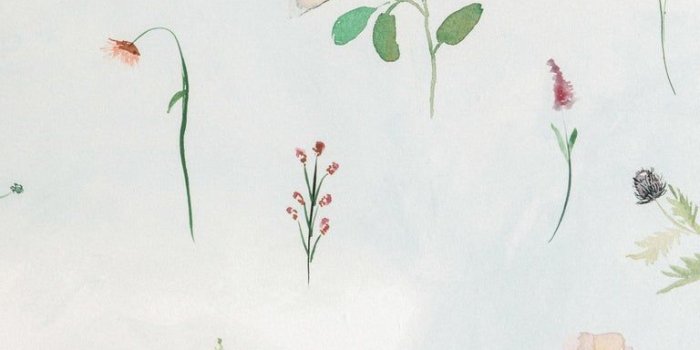 768x1195 Meadow, Bluestocking Painted Floral Textural Watercolor Wallpaper