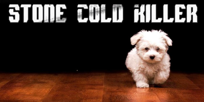 1680x1050 dog, Killer, Humor, Funny, Puppy, Puppies, Cute, Sadic, Dogs Wallpapers HD  / Desktop and Mobile Backgrounds