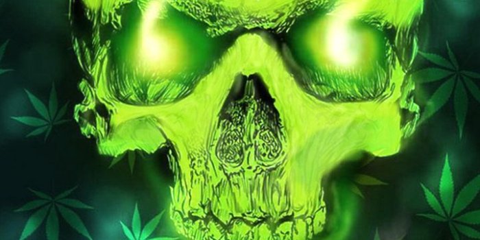 720x1280 Greg Morrison on cannabis in 2019 | Weed wallpaper, Marijuana