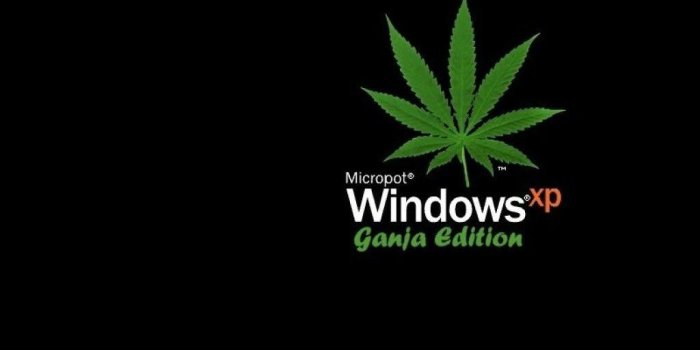 1024x768 Weed Wallpapers HD Free Download Desktop Background