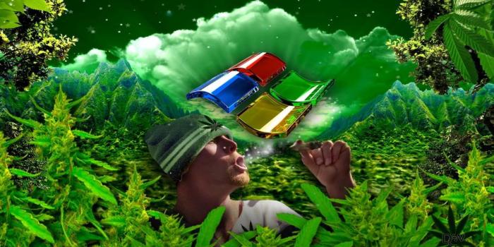 1920x1080 HD wallpaper: 420, cannabis, drug, drugs, marijuana, nature, plant