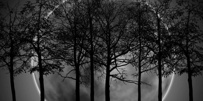 1280x800 Download Widescreen 16:10 1280x800 - Dark Moon Wallpaper