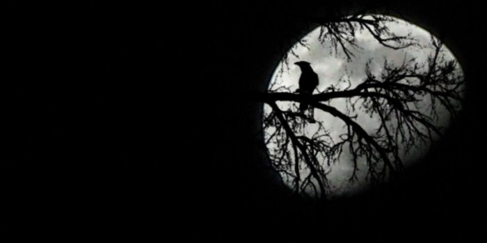 1920x1200 Moon Wallpaper (50+ images) on Genchi.info
