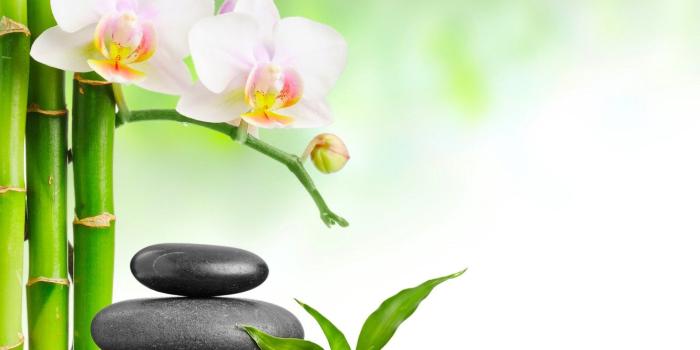 1332x850 Wallpaper bamboo, Orchid, leaves, Spa stones images for desktop