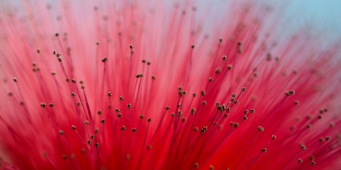 1680x1050 Women's Gypsy Style Waistcoat in 2019 | Stuff to Buy | Macro