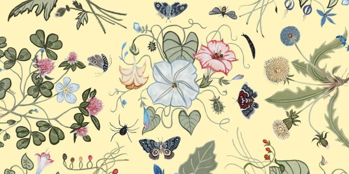 1200x900 gucci on Twitter: 