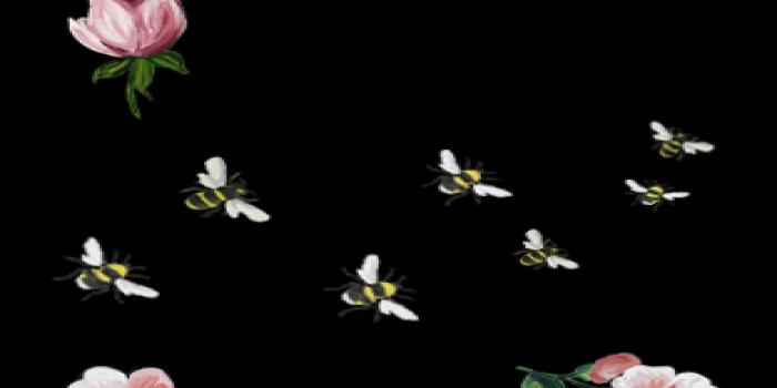 2800x2100 Ultra HD Gucci Wallpapers #T1K954T - 4USkY