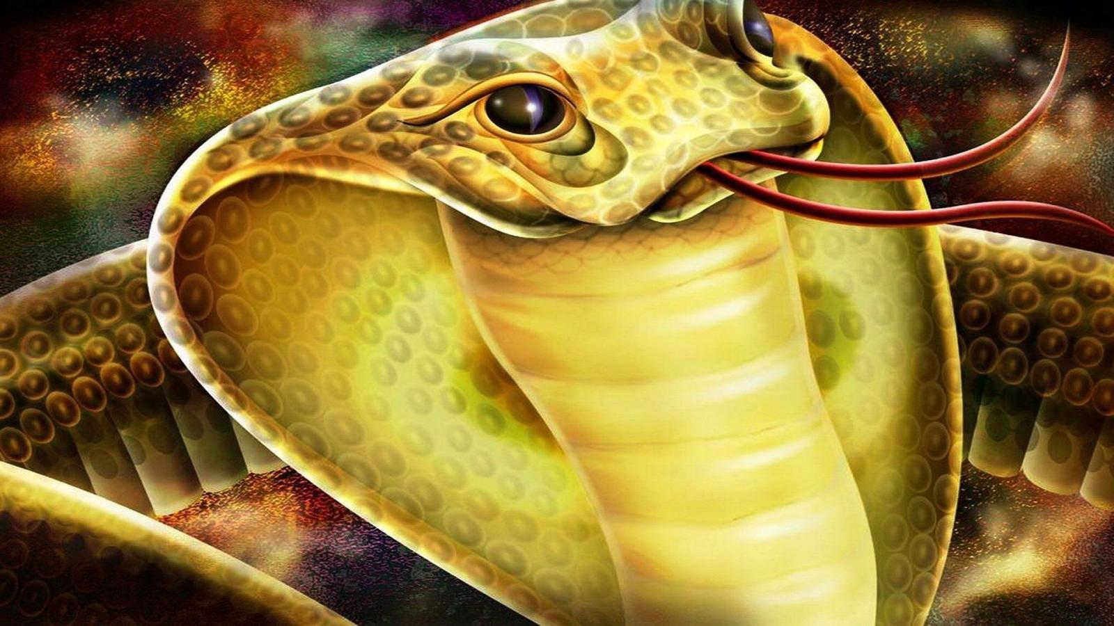1920x1080 King Cobra wallpaper | King-Cobra-HD-Wallpapers-Free-Download | Cool