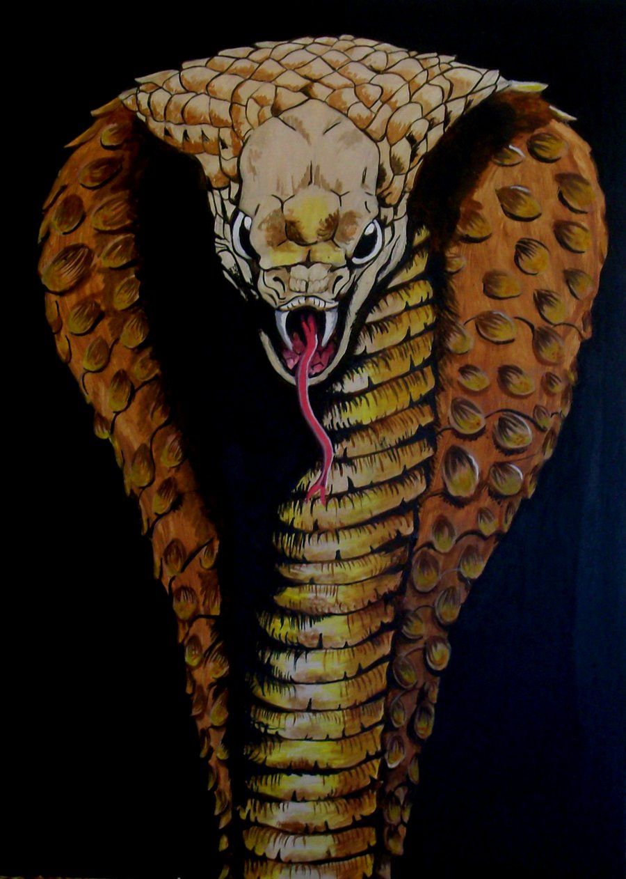 900x1262 Free download king cobra art Wallpaper Downloads [900x1262] for your