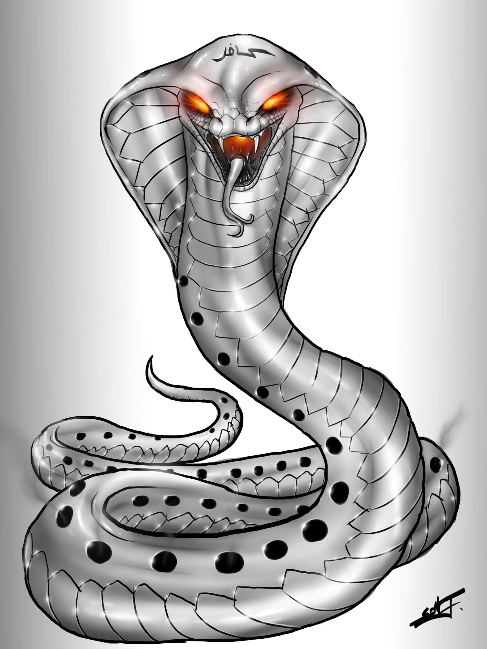 2160x2880 King Cobra Wallpaper (56+), Find HD Wallpapers For Free