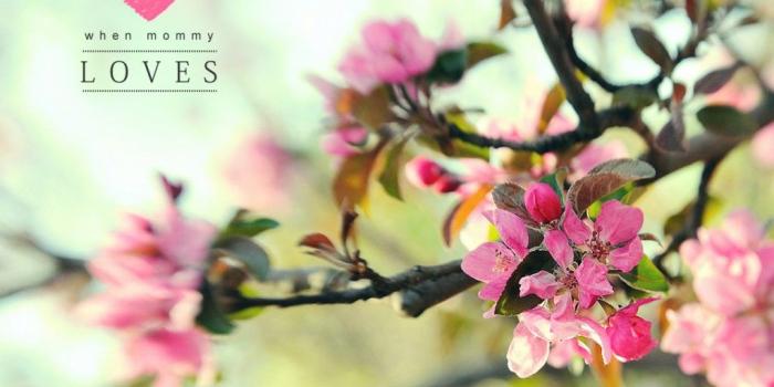 1024x819 Plum blossom wallpaper » Mommy Loves