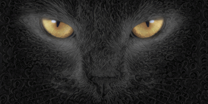 2560x1440 Dark cat wallpaper [2560x1440] : deepdream