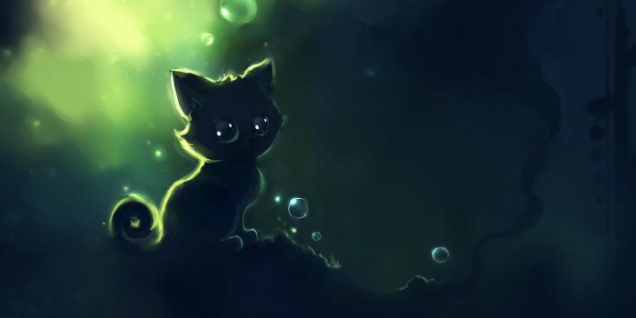 1920x1080 75+ Cat Background Wallpapers on WallpaperPlay