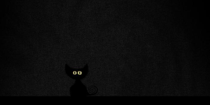 1440x900 Wallpapers Black Cat