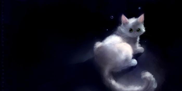 1190x706 Cute Cat Wallpaper Dark | Wallpapers Arena