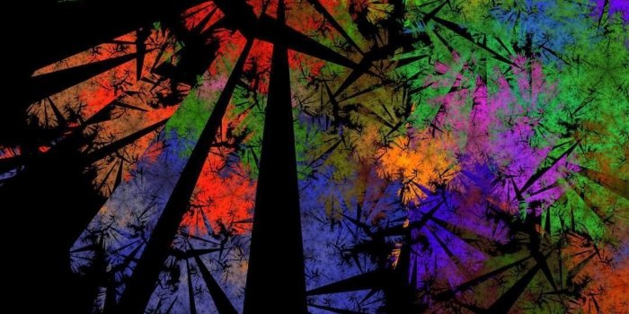 1080x1920 Dope Weed Wallpapers - Top Free Dope Weed Backgrounds - WallpaperAccess