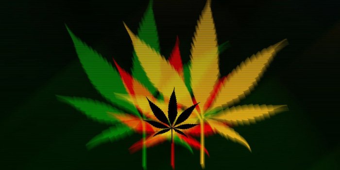 1192x670 46+] Free Weed Wallpapers on WallpaperSafari