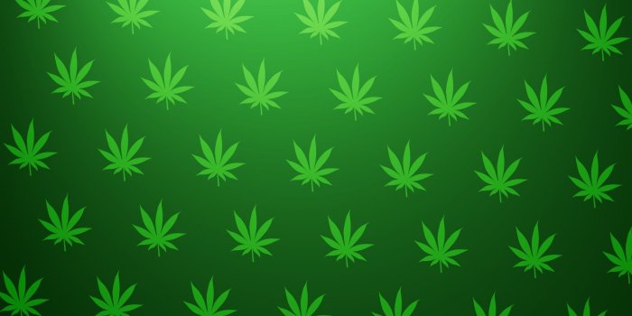 1920x1080 47+] Weed Wallpapers for Windows on WallpaperSafari