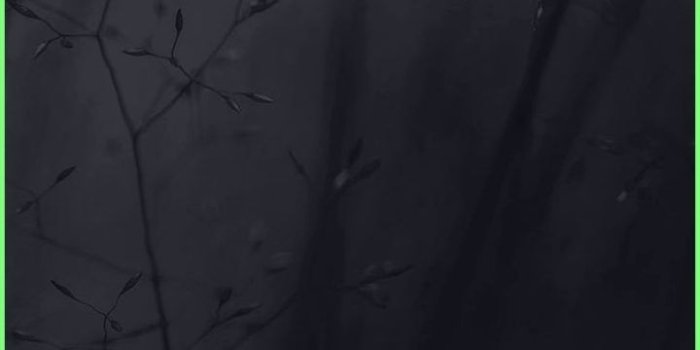 720x1272 Iphone Wallpapers Dark - Abstract Weed Plant Dark Flower Nature