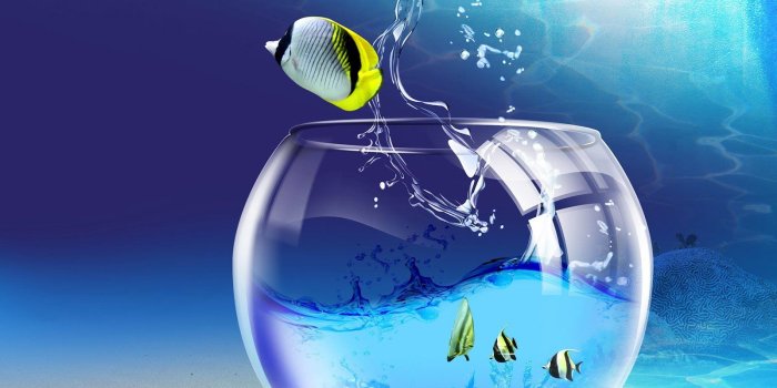 1600x1200 30 Plus Most Beautiful and Stylish 3d Wallpapers