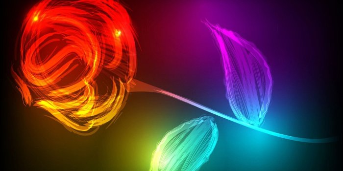 1920x1200 Abstract Beautiful Rose - Beautiful 3d Wallpapers For Laptop