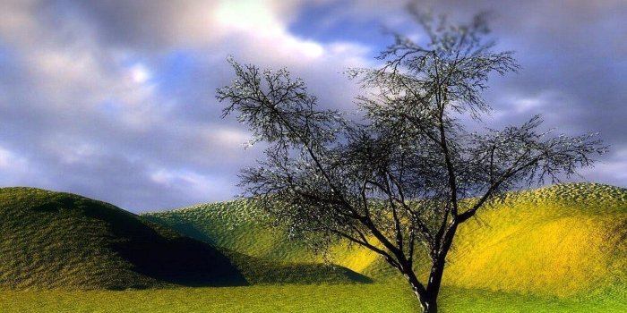 1600x1200 Beautiful 3D Wallpapers