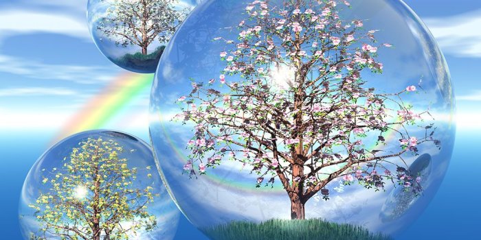 1024x768 Beautiful 3d Wallpaper - All Flowers Image Hd Download Free