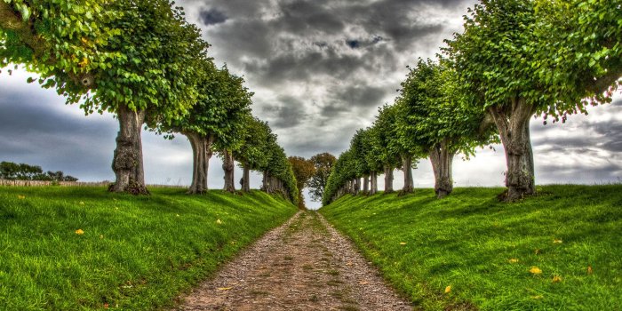 1920x1176 3D HD Nature Images Free Download