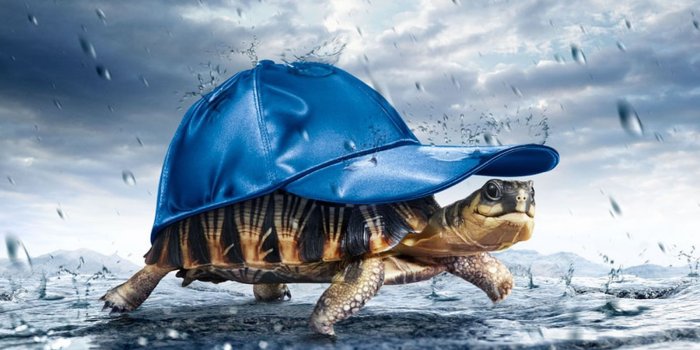 1600x1200 2017's Best 3D Wallpapers for Android Mobile