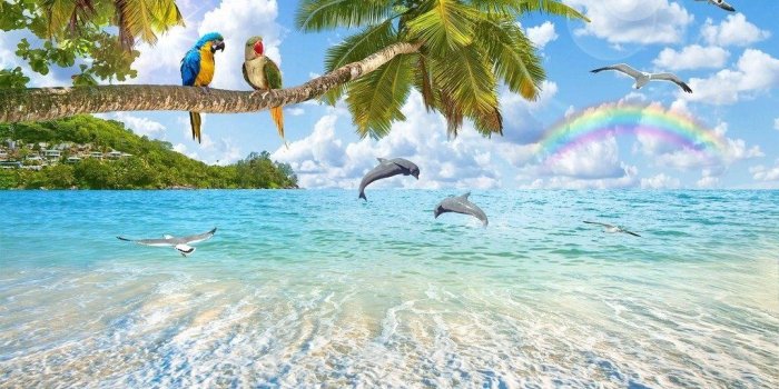 1024x854 Mediterranean nature scenery landscape Coco Dolphin Bay Wallpaper  IDCWP-DZ-000198