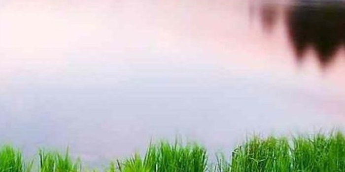 1125x2436 1125x2436 Nature Scenery Iphone XS,Iphone 10,Iphone X HD 4k