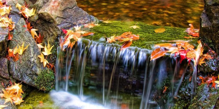 1565x1173 Beautiful Butchart Gardens Waterfall Nature Scenery Wallpaper #4826