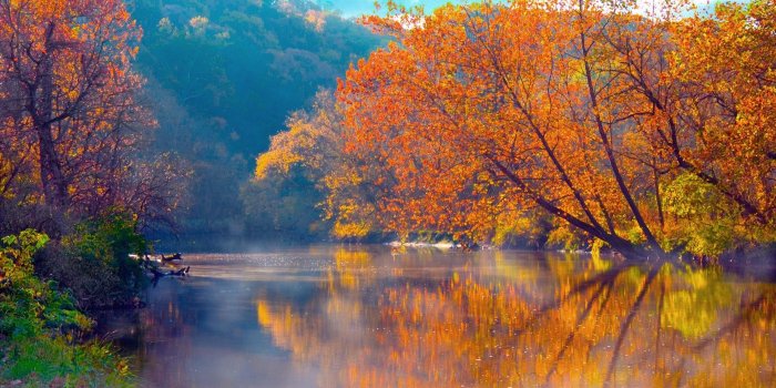 1920x1200 Free Wallpaper - Free Nature wallpaper - Natural Scenery 12